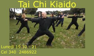 Tai Chi - Qi Gong